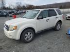 Lot #3023421289 2012 FORD ESCAPE XLT