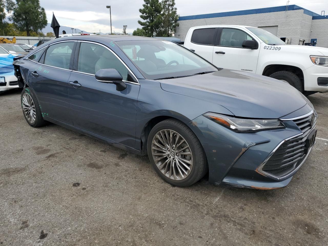 Lot #3030479460 2019 TOYOTA AVALON XLE