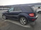 Lot #3024880426 2011 MERCEDES-BENZ ML 350 4MA