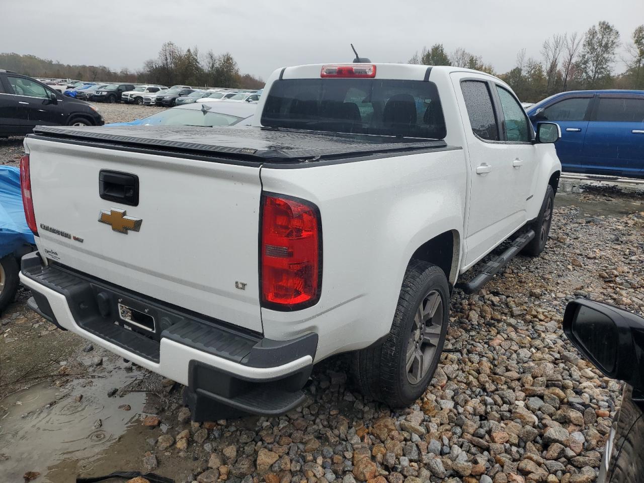 Lot #3024694623 2017 CHEVROLET COLORADO L