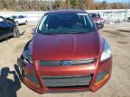 Lot #3024729222 2014 FORD ESCAPE S