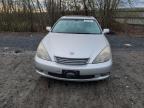 Lot #3023934214 2004 LEXUS ES 330