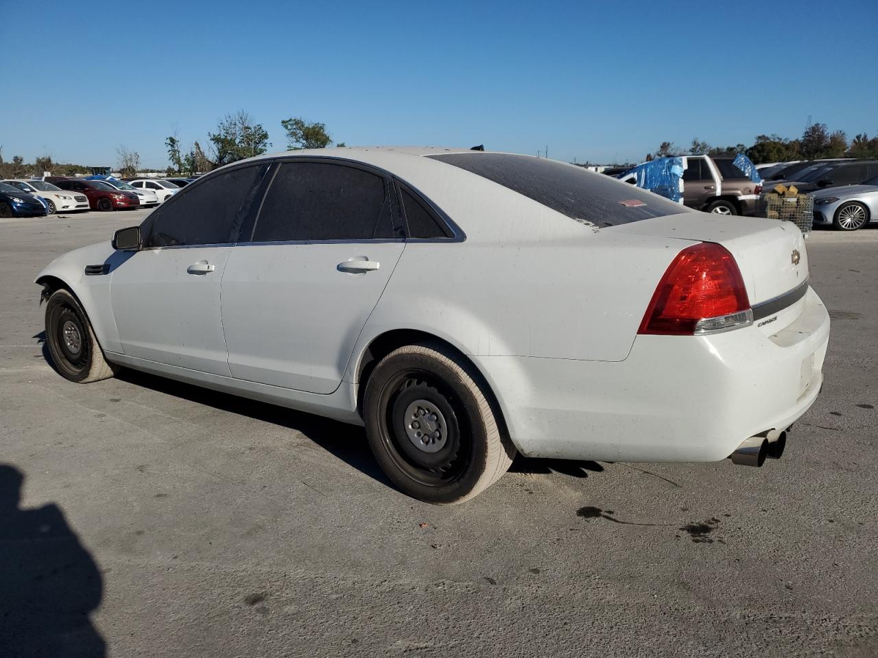 Lot #3029603138 2014 CHEVROLET CAPRICE PO