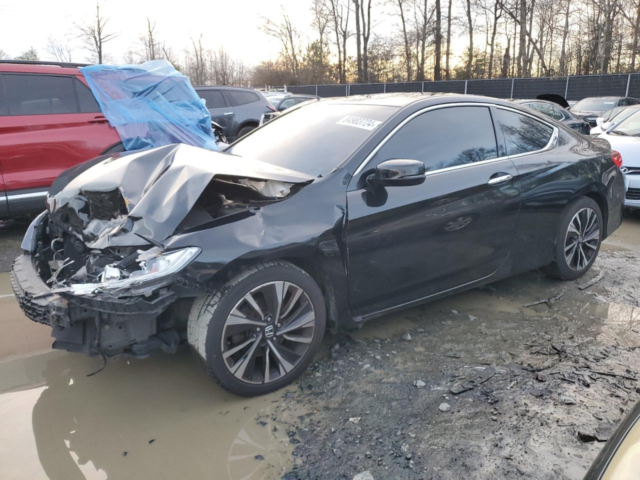 HONDA ACCORD EX