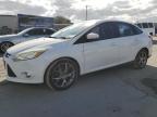 Lot #3025077285 2013 FORD FOCUS SE