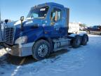 Lot #3025137182 2014 FREIGHTLINER CASCADIA 1