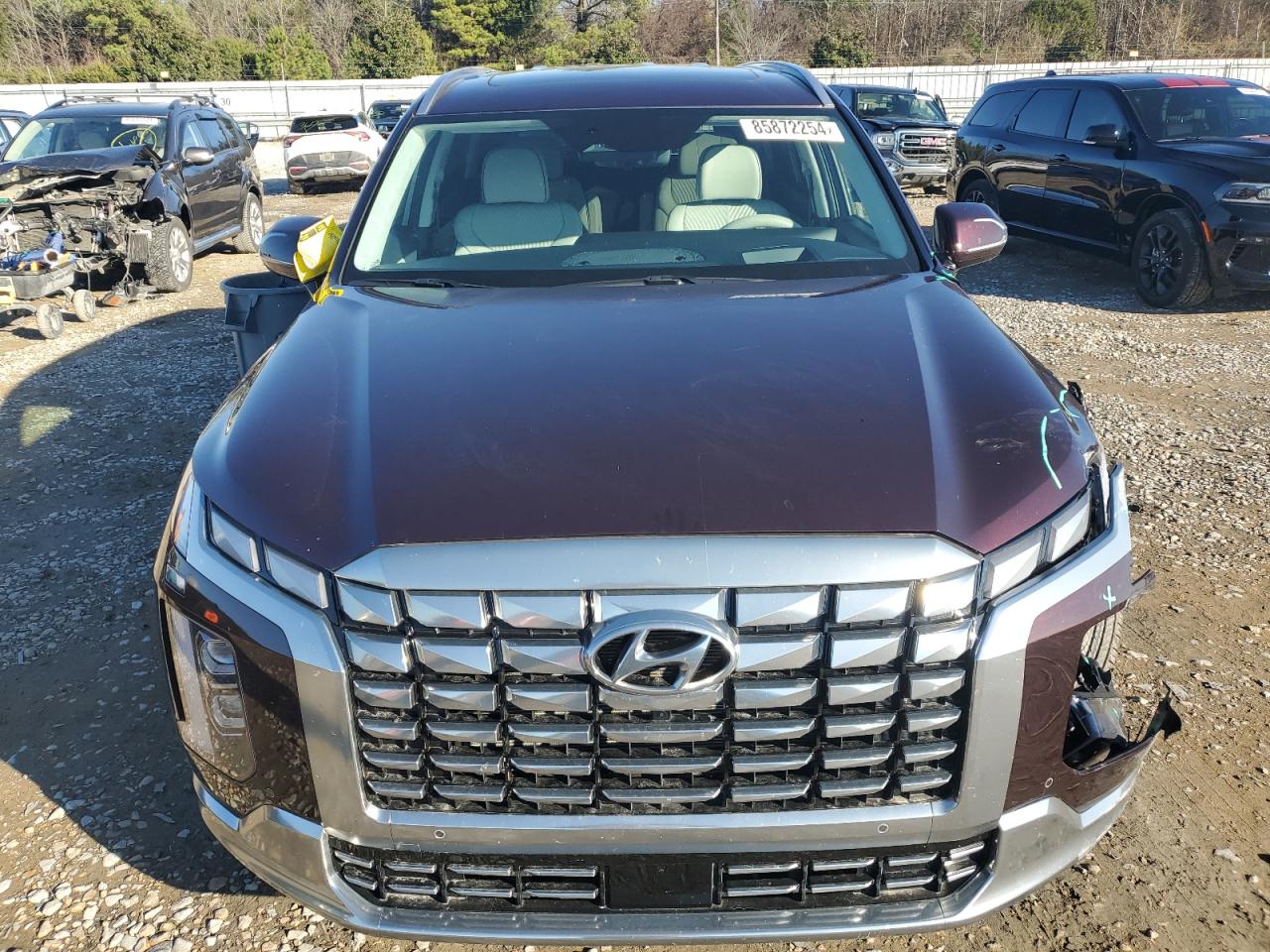 Lot #3030632135 2024 HYUNDAI PALISADE C