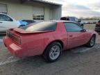 Lot #3049653206 1991 PONTIAC FIREBIRD B