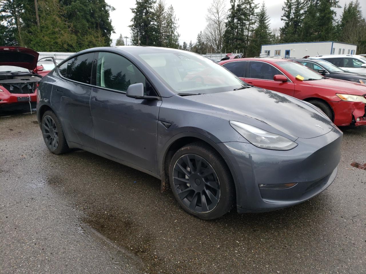 Lot #3034519738 2023 TESLA MODEL Y