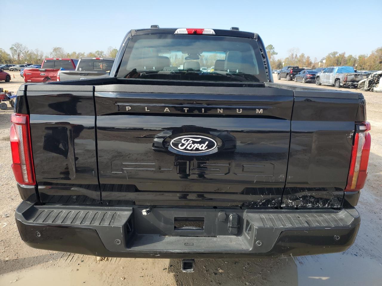 Lot #3029555120 2024 FORD F150 PLATI