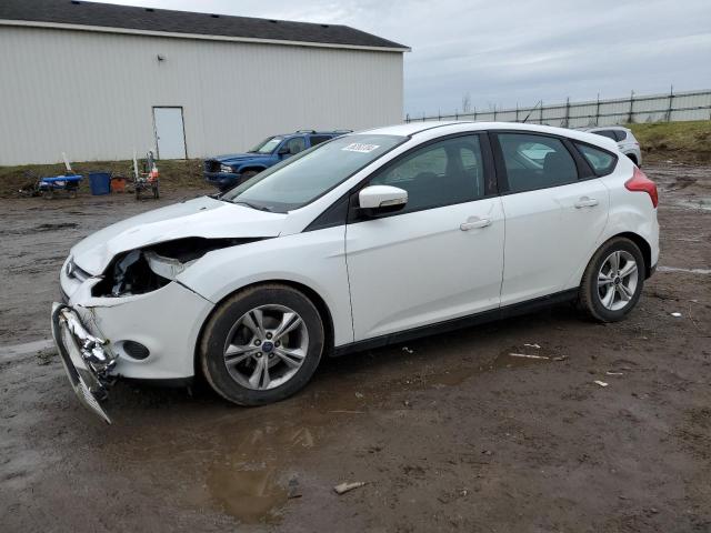 FORD FOCUS SE 2014 white hatchbac gas 1FADP3K29EL186677 photo #1