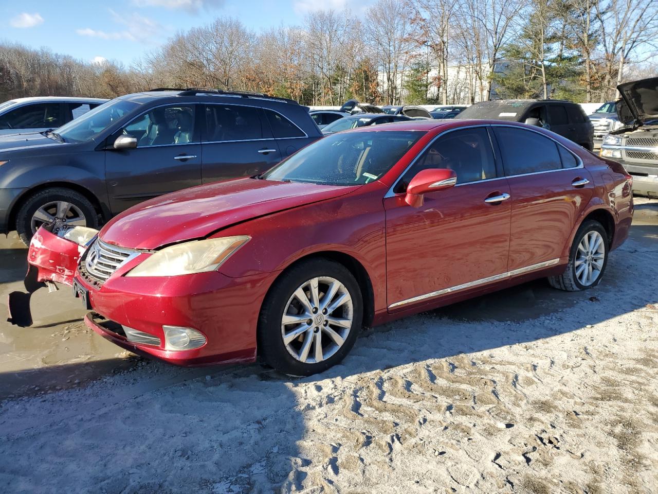 Lot #3024183850 2010 LEXUS ES 350