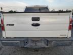 Lot #3023683994 2009 FORD F150