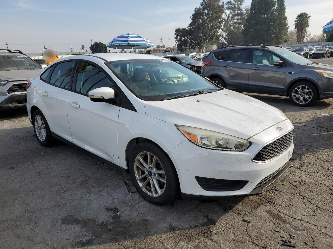 Lot #3034514776 2016 FORD FOCUS SE