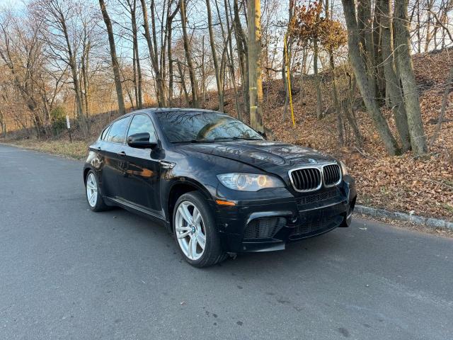 VIN 5YMGZ0C53DLL30139 2013 BMW X6 no.1