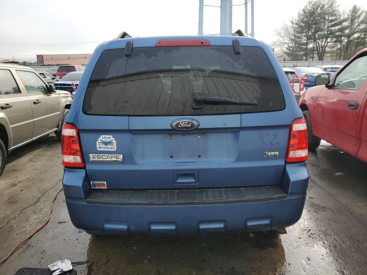 Lot #3023461296 2010 FORD ESCAPE XLT