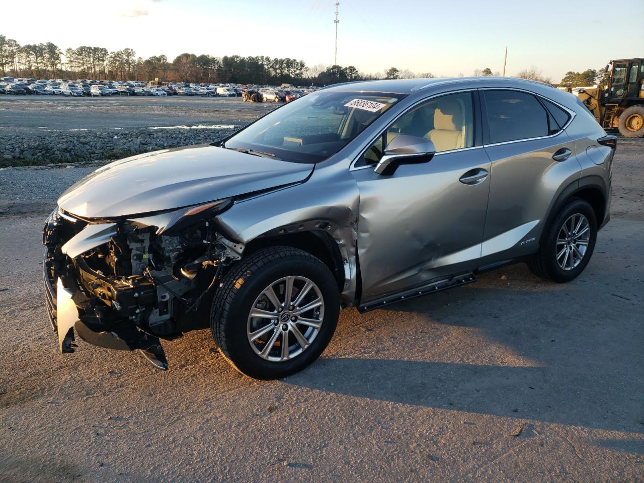 JTJDJRDZ1M2148290 LEXUS NX 300H BA 2021