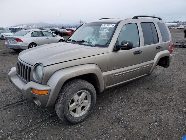 JEEP LIBERTY LI