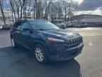 Lot #3027034801 2016 JEEP CHEROKEE L