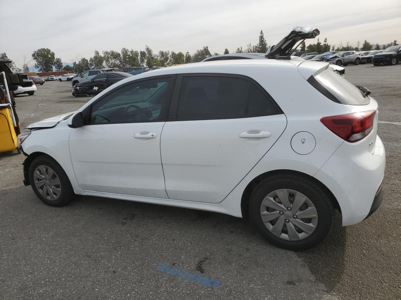 Lot #3030479462 2019 KIA RIO S