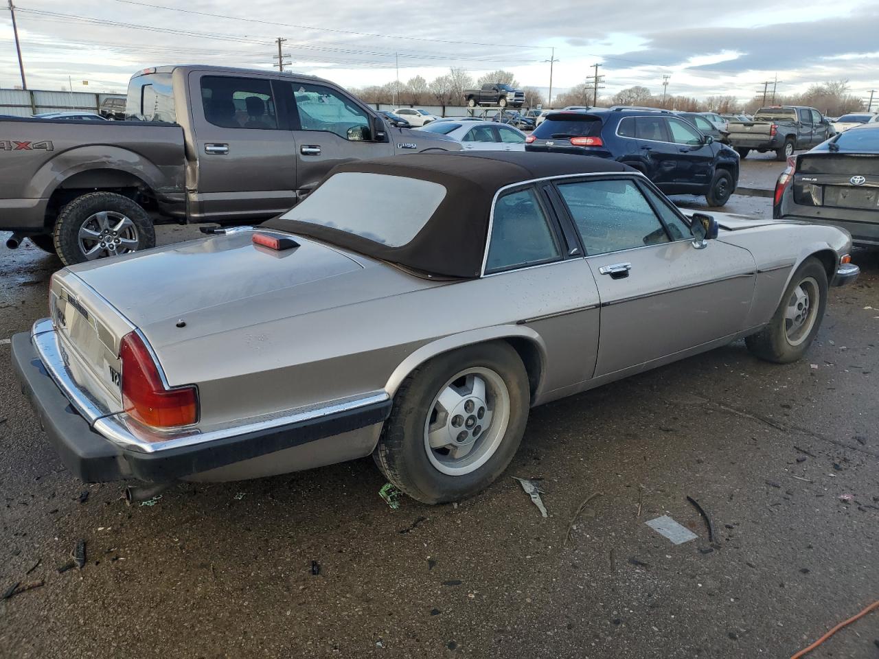 Lot #3030458457 1988 JAGUAR XJSC HE