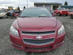 Lot #3030916530 2010 CHEVROLET MALIBU 2LT