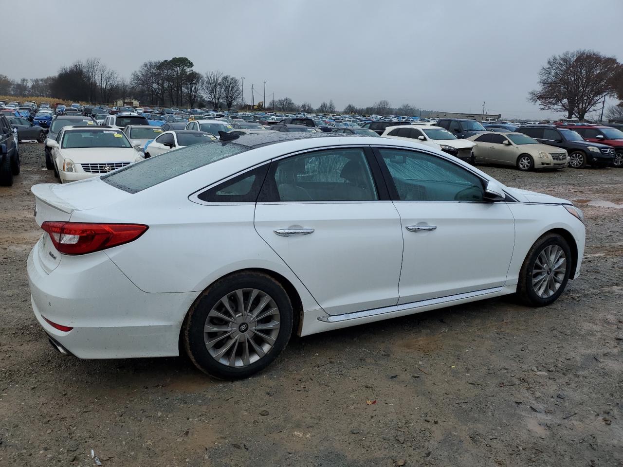 Lot #3029618103 2015 HYUNDAI SONATA SPO