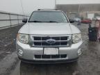 Lot #3030546508 2011 FORD ESCAPE XLT