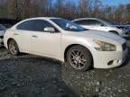 Lot #3051314643 2011 NISSAN MAXIMA S