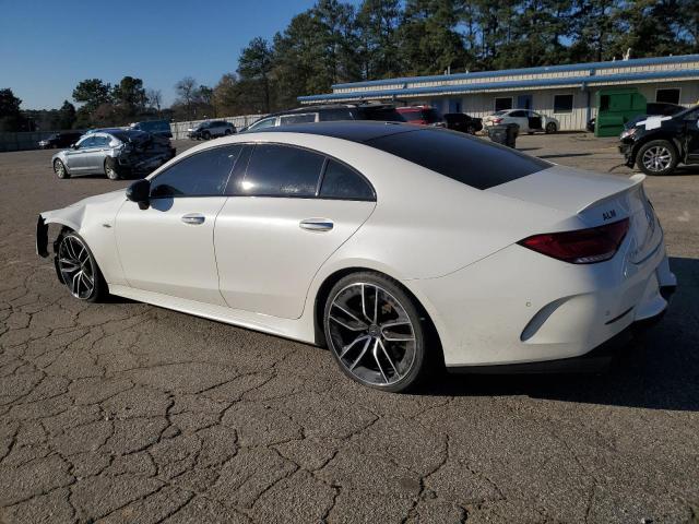 2019 MERCEDES-BENZ CLS AMG 53 - WDD2J6BB3KA042804