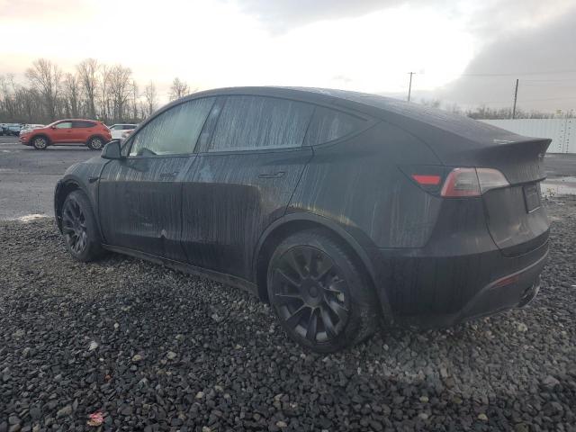 2023 TESLA MODEL Y - 7SAYGDEE7PF811741