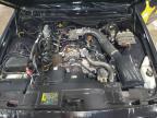 Lot #3041840414 2005 FORD CROWN VICT