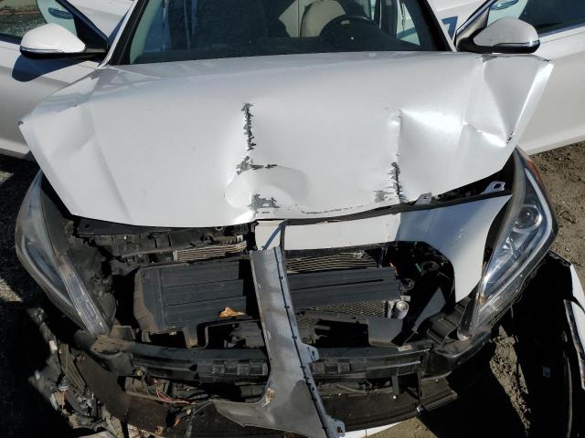 2017 HYUNDAI SONATA PLU - KMHE14L25HA065208