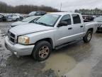 Lot #3025144205 2007 DODGE DAKOTA QUA