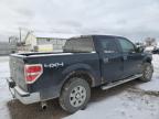 Lot #3024622618 2013 FORD F150 SUPER