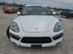 Lot #3024647598 2012 PORSCHE CAYENNE TU