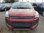 Lot #3025838306 2015 FORD ESCAPE SE