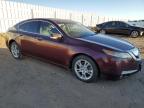 Lot #3024727765 2009 ACURA TL