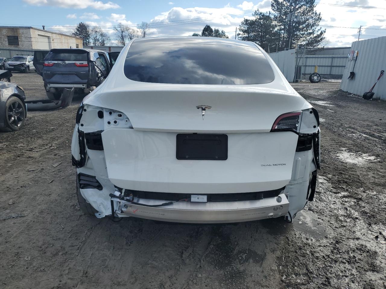 Lot #3037009721 2023 TESLA MODEL Y