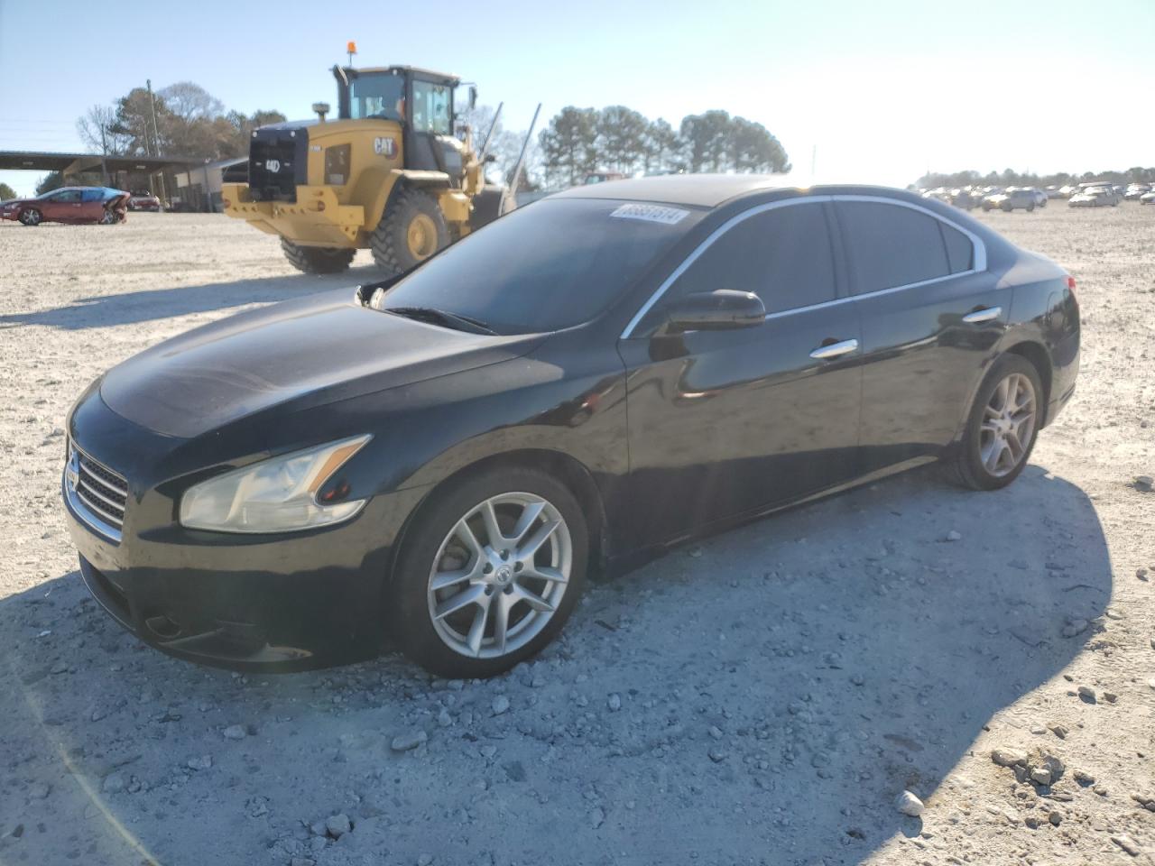 Lot #3033089990 2010 NISSAN MAXIMA S