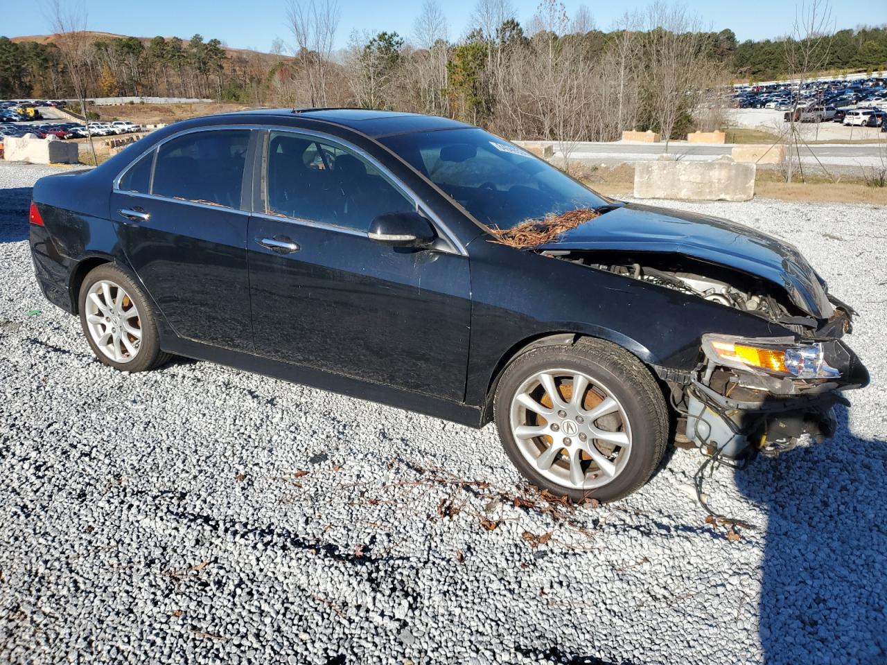 Lot #3030759094 2006 ACURA TSX