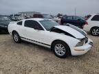 Lot #3032090025 2005 FORD MUSTANG