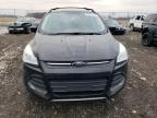 Lot #3023823913 2013 FORD ESCAPE SE