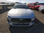 Lot #3033090991 2024 FORD MUSTANG