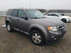 Lot #3041087768 2012 FORD ESCAPE XLS