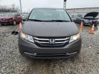 HONDA ODYSSEY EX photo