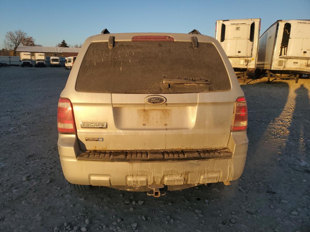 Lot #3034627774 2009 FORD ESCAPE XLT