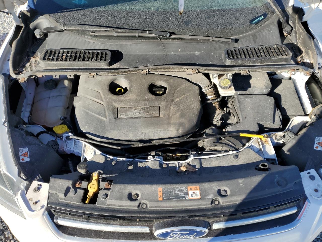 FORD ESCAPE TITANIUM