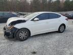 2019 HYUNDAI ELANTRA SE - 5NPD74LF8KH494487
