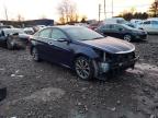 Lot #3037054732 2014 HYUNDAI SONATA SE